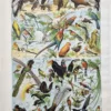 NU21949OICA-R-oiseaux-cacatoes-calao oiseaux-cacatoes-calao