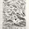 NU21949OICA-V-oiseaux-utiles oiseaux-utiles