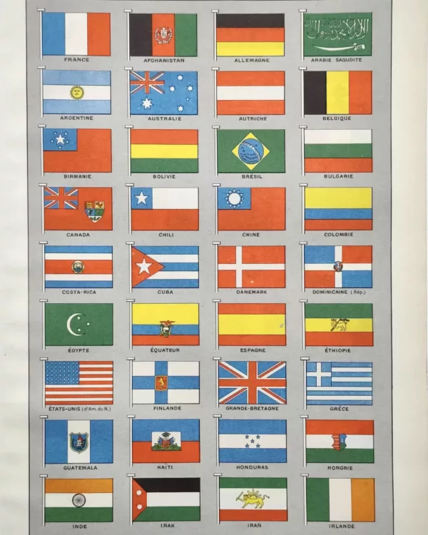 NU21949PAVI-R-pavillons-drapeaux pavillons-drapeaux