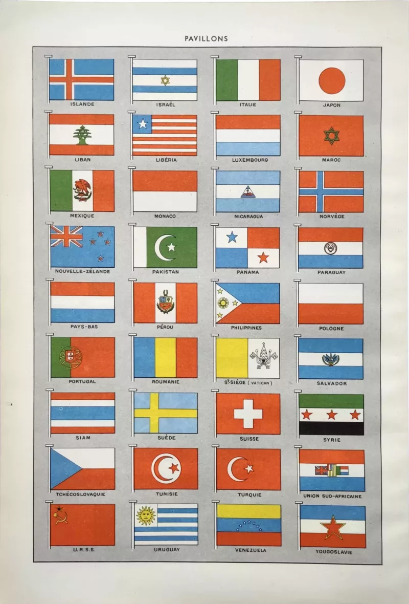 NU21949PAVI-V-pavillons-drapeaux pavillons-drapeaux