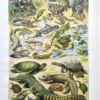 NU21949REPT-R-reptiles-serpents-crocodile reptiles-serpents-crocodile