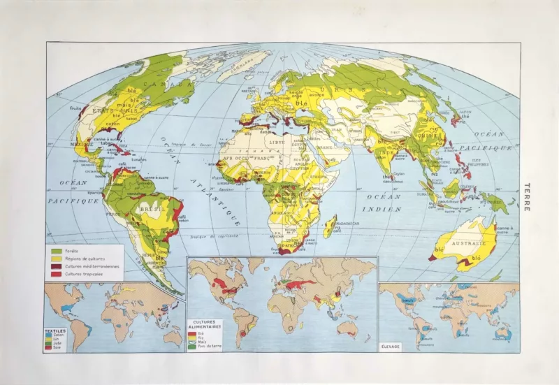 La Terre, forêts et cultures du monde, planche géographique de 1949