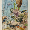 Océanographie, planche scientifique d’Adolphe Millot 1898