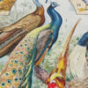 Oiseaux et paon, planche d’Adolphe Millot 1932