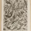 Oiseaux et paon, planche d’Adolphe Millot 1932