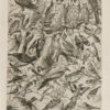 Oiseaux et paon, planche d’Adolphe Millot 1932