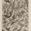Oiseaux et paon, planche d’Adolphe Millot 1932