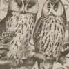 Oiseaux et paon, planche d’Adolphe Millot 1932