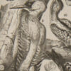 Oiseaux et paon, planche d’Adolphe Millot 1932