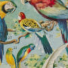 Oiseaux du monde, planche d’Adolphe Millot 1932