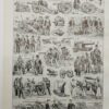 Arthropodes, planche zoologique originale 1948