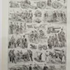 Arthropodes, planche zoologique originale 1948 – verso du document ancien