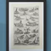 Artillerie, deux planches historiques originales 1948 – verso du document ancien