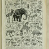 paleontologie1 Paléontologie jurassique, planche d’Adolphe Millot 1932