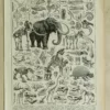 Paléontologie jurassique, planche d’Adolphe Millot 1932