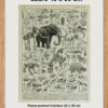original-cadre-pp Paléontologie jurassique, planche d’Adolphe Millot 1932