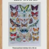 Papillons d’Europe, planche d’Adolphe Millot 1932