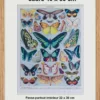 original-cadre-pp Papillons, lot de deux planches d’Adolphe Millot 1932