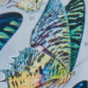 Papillons exotiques, planche d’Adolphe Millot 1932