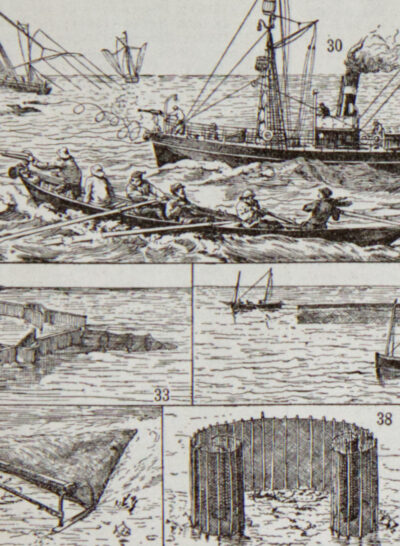 peche Pêche, planche encyclopédique originale 1930