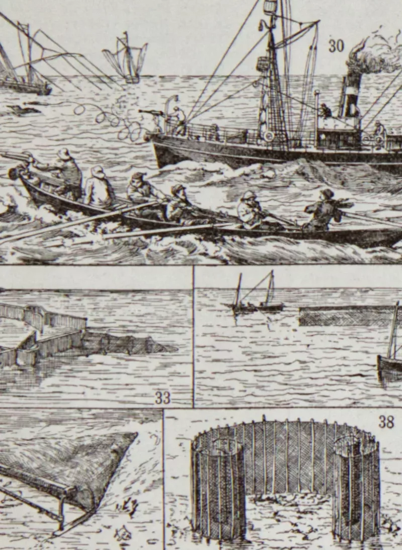 peche Pêche, planche encyclopédique originale 1930