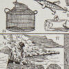 peche Pêche, planche encyclopédique originale 1930