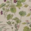 118A5919 Plantes calmantes et émollientes, planche médicale 1924