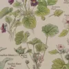 Plantes calmantes et émollientes, planche médicale 1924