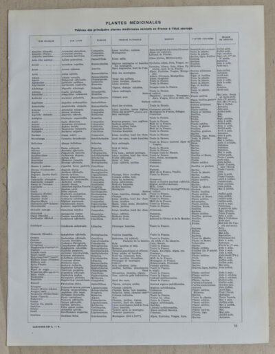 Plantes médicinales n°1, planche botanique d’Adolphe Millot 1932