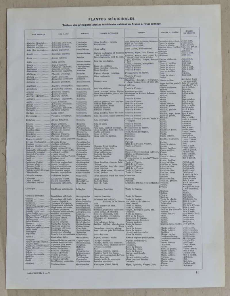 Plantes médicinales n°1, planche botanique d’Adolphe Millot 1932