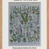 Plantes médicinales n°1, planche botanique d’Adolphe Millot 1932
