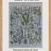 Plantes médicinales n°1, planche botanique d’Adolphe Millot 1932