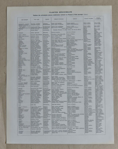 Plantes médicinales n°2, planche botanique d’Adolphe Millot 1932