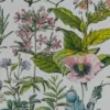 Plantes médicinales n°2, planche botanique d’Adolphe Millot 1932