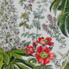 Plantes médicinales n°2, planche botanique d’Adolphe Millot 1932