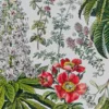 Plantes médicinales n°2, planche botanique d’Adolphe Millot 1932
