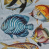 Poissons, planche zoologique d’Adolphe Millot 1932