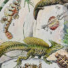 Reptiles, planche zoologique d’Adolphe Millot 1932