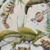 Reptiles et paléontologie, lot de trois planches Adolphe Millot 1932