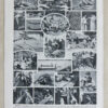 Reptiles, planche zoologique d’Adolphe Millot 1932