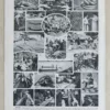 Reptiles et paléontologie, lot de trois planches Adolphe Millot 1932