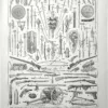 Armes anciennes et modernes, épées, boucliers, arquebuses, canon et mitrailleuse, planche de 1928