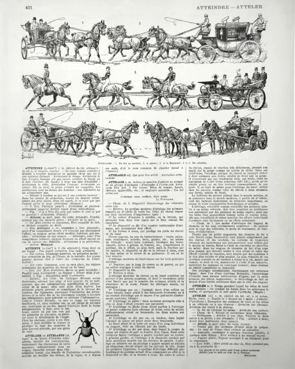 XX11928ATTE-R-atteler Attelages, voitures hippomobiles et chevaux attelés, planche illustrée de 1928 signée Bombled
