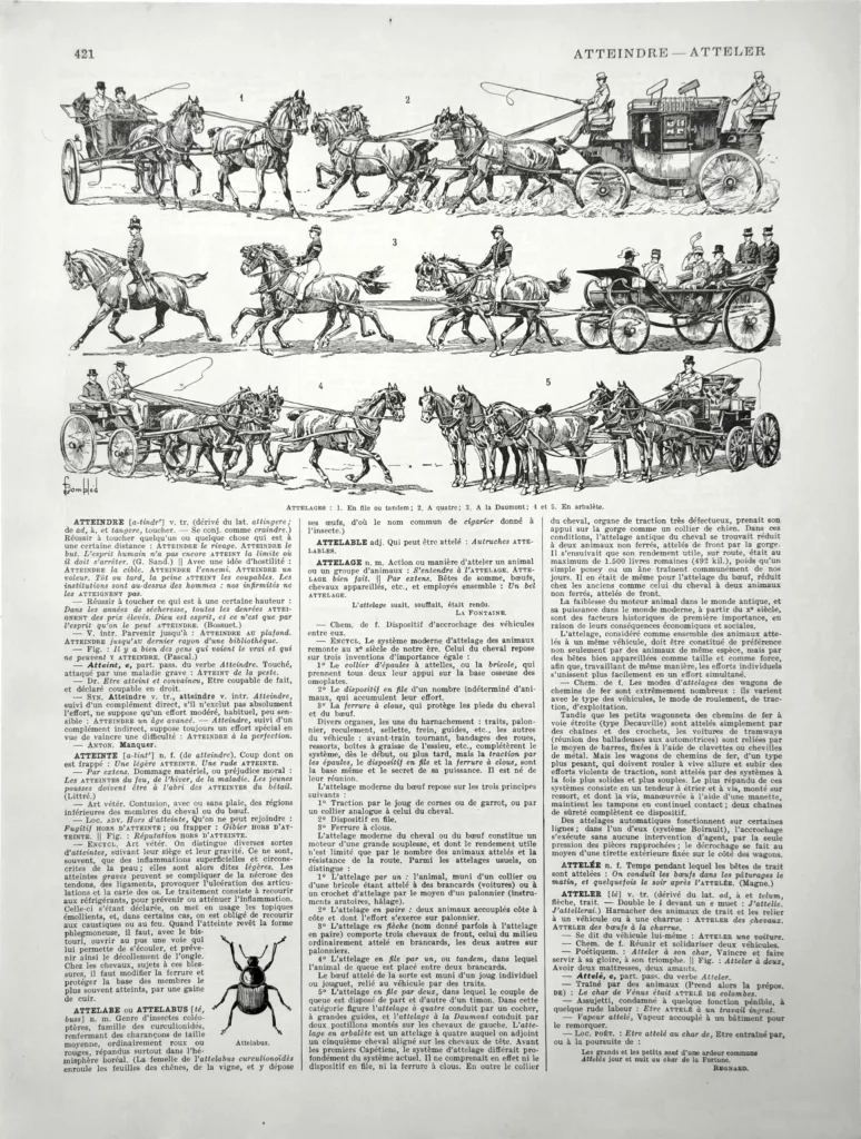 Attelages, voitures hippomobiles et chevaux attelés, planche illustrée de 1928 signée Bombled