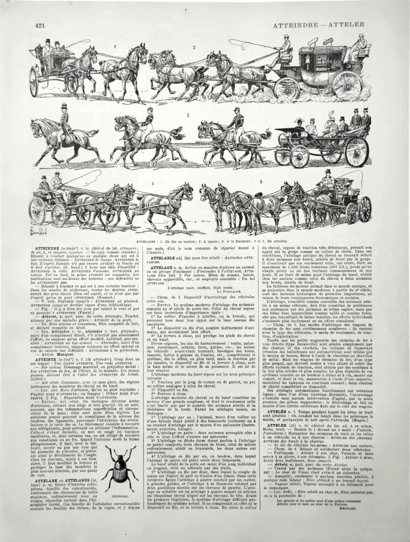 XX11928ATTE-R-atteler Attelages, voitures hippomobiles et chevaux attelés, planche illustrée de 1928 signée Bombled