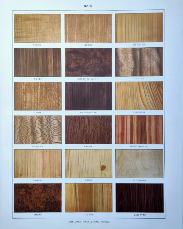 XX11928BOFR-R-bois-frene Bois, essences en couleurs, frêne, hêtre, noyer et palissandre, planche de 1928