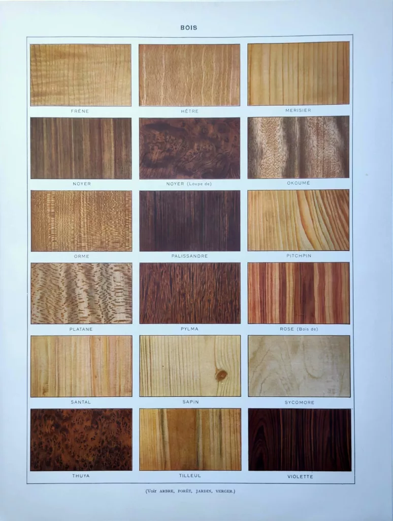 Bois, essences en couleurs, frêne, hêtre, noyer et palissandre, planche de 1928