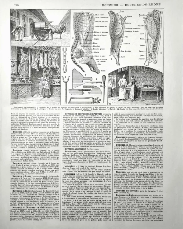 XX11928BOUC-R-boucher-boucherie Boucherie et charcuterie, découpe du boeuf, outils et boutique de boucher, planche de 1928