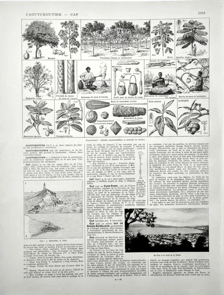 Caoutchouc, hévéa, plantes à latex, récolte et extraction, planche encyclopédique de 1928