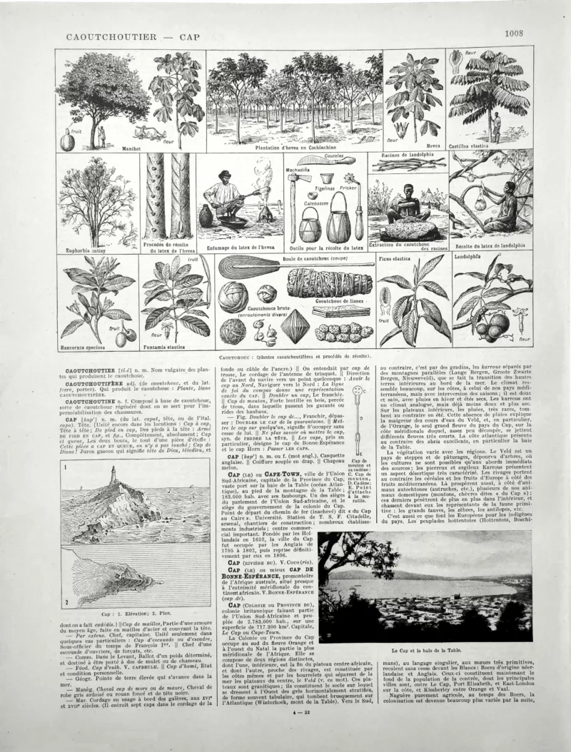 XX11928CAOU-R-caoutchouc Caoutchouc, hévéa, plantes à latex, récolte et extraction, planche encyclopédique de 1928